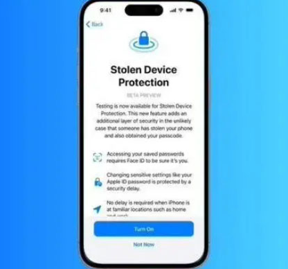 洛宁苹果授权维修店分享被盗设备保护功能开启方法 