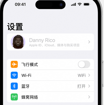 洛宁appleID维修服务iPhone设置中Apple ID显示为灰色无法使用