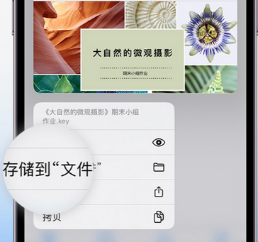 洛宁apple维修中心分享iPhone文件应用中存储和找到下载文件