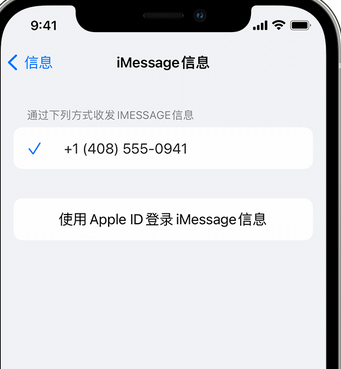 洛宁apple维修iPhone上无法正常发送iMessage信息 