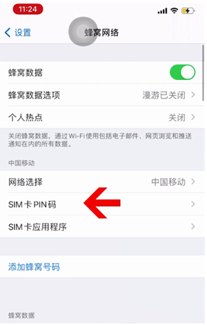 洛宁苹果14维修网分享如何给iPhone14的SIM卡设置密码 