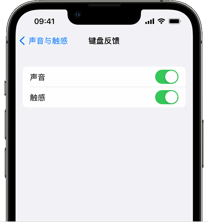 洛宁苹果14维修店分享如何在 iPhone 14 机型中使用触感键盘 