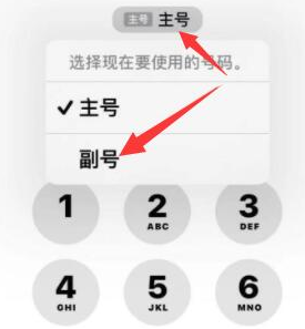 洛宁苹果14维修店分享iPhone 14 Pro Max使用副卡打电话的方法 