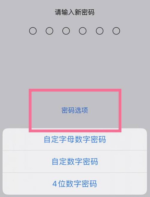 洛宁苹果14维修分享iPhone 14plus设置密码的方法 