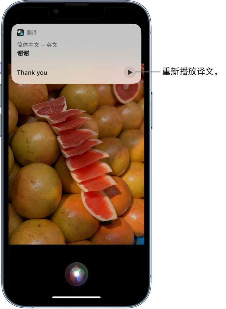 洛宁苹果14维修分享 iPhone 14 机型中使用 Siri：了解 Siri 能帮你做什么 