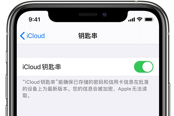 洛宁苹果手机维修分享在 iPhone 上开启 iCloud 钥匙串之后会储存哪些信息 