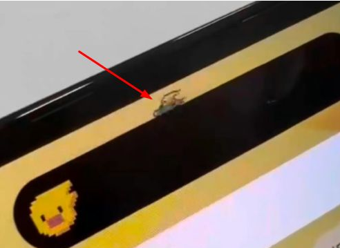 洛宁苹果14维修分享iPhone 14 Pro Max灵动岛怎么养宠物 