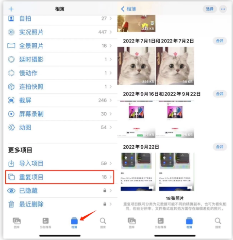 洛宁苹果手机维修分享iOS 16 中相册重复项目功能使用方法 