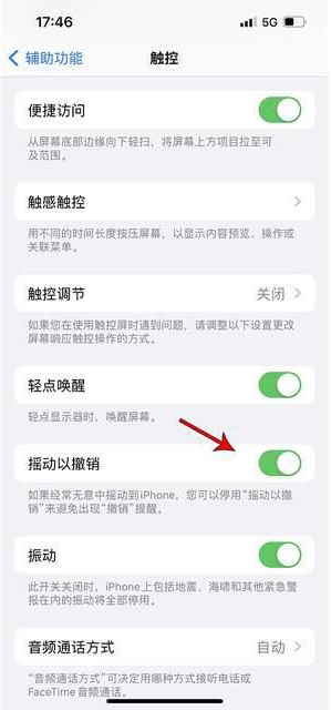 洛宁苹果手机维修分享iPhone手机如何设置摇一摇删除文字 