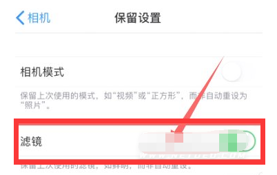 洛宁苹果13维修分享iPhone13拍照有绿点是怎么回事 