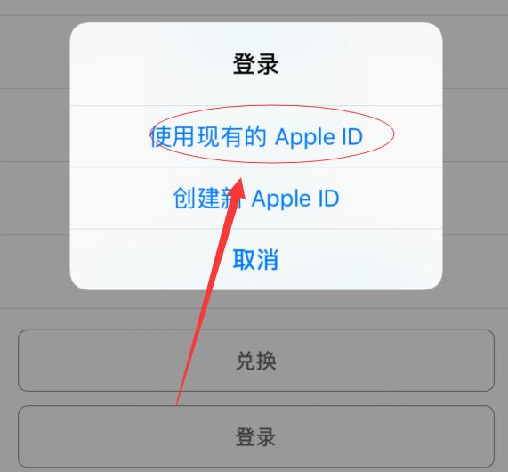 洛宁苹果手机维修分享两台iPhone设备可以同时登录一个Apple ID吗 