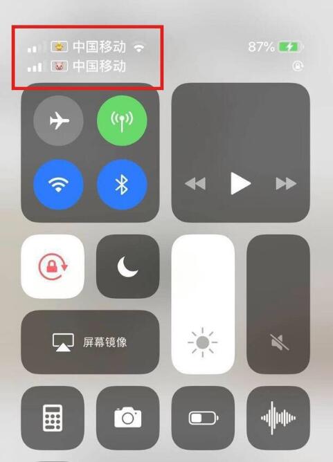 洛宁苹果手机维修分享为 iPhone 12 双卡设置标签 